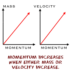 Momentum increases as either mass or velocity increase.